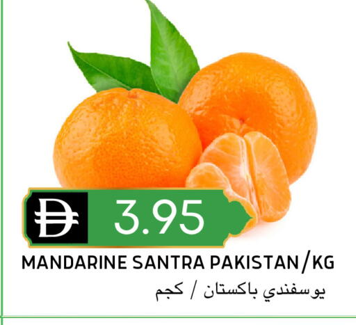 from Pakistan available at سيليكت ماركت in الإمارات العربية المتحدة , الامارات - أبو ظبي