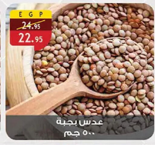 available at الرايه  ماركت in Egypt - القاهرة