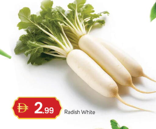 Radish available at سوق طلال in الإمارات العربية المتحدة , الامارات - دبي