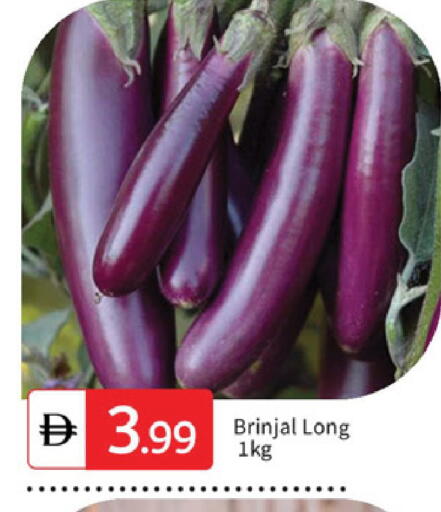 available at سوق طلال in الإمارات العربية المتحدة , الامارات - الشارقة / عجمان