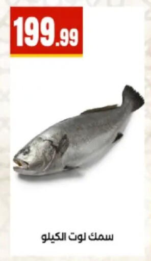 available at المحلاوي ستورز in Egypt - القاهرة