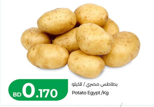 Potato from Egypt available at لولو هايبر ماركت in البحرين