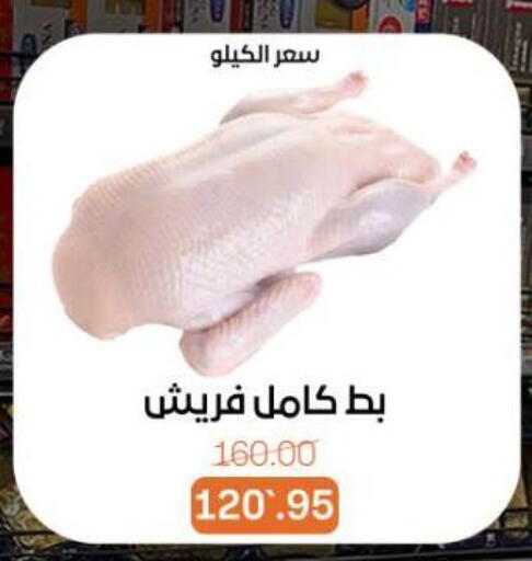 available at Beit El Gomla in Egypt - Cairo