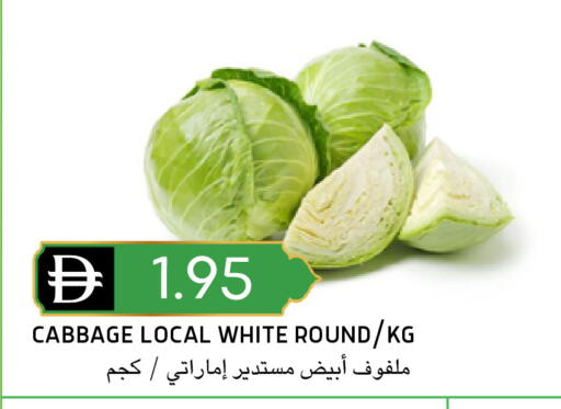 Cabbage available at سيليكت ماركت in الإمارات العربية المتحدة , الامارات - أبو ظبي