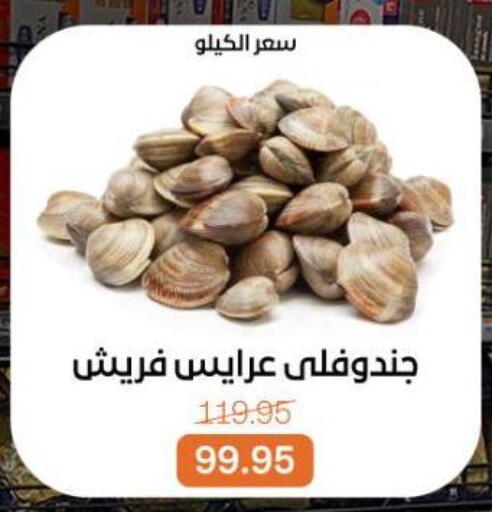 available at بيت الجملة in Egypt - القاهرة