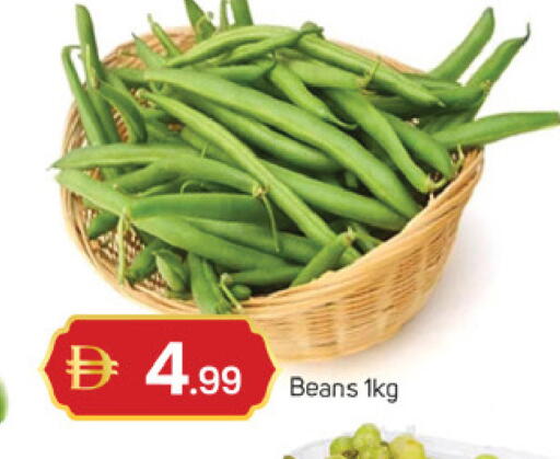 available at سوق طلال in الإمارات العربية المتحدة , الامارات - دبي