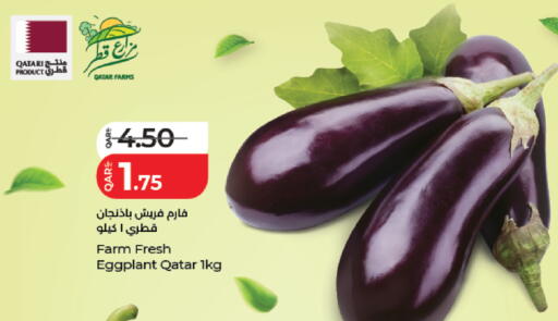Eggplant from Qatar available at لولو هايبرماركت in قطر - الخور