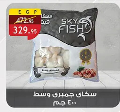 available at Al Rayah Market   in Egypt - Cairo