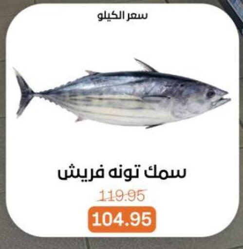 available at بيت الجملة in Egypt - القاهرة