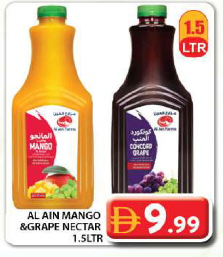 Mango available at جراند هايبر ماركت in الإمارات العربية المتحدة , الامارات - دبي