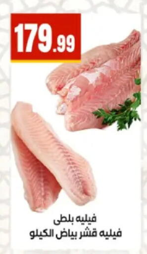 available at المحلاوي ستورز in Egypt - القاهرة