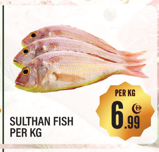 available at Dream Land in UAE - Sharjah / Ajman