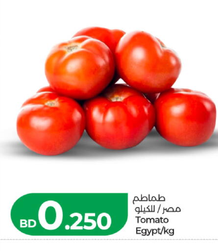 Tomato from Egypt available at LuLu Hypermarket in Bahrain