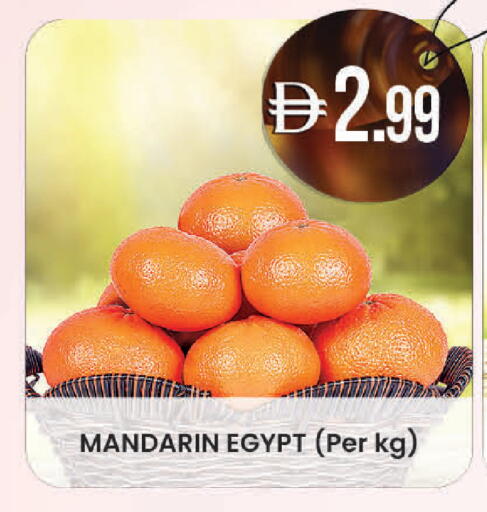 Mandarin from Egypt available at Safa Express Supermarket in UAE - Al Ain
