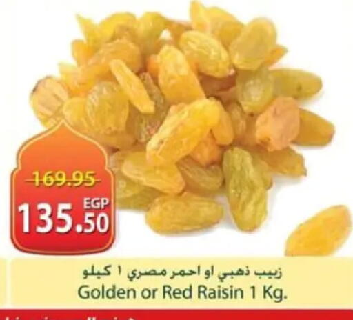 available at سبينس in Egypt - القاهرة