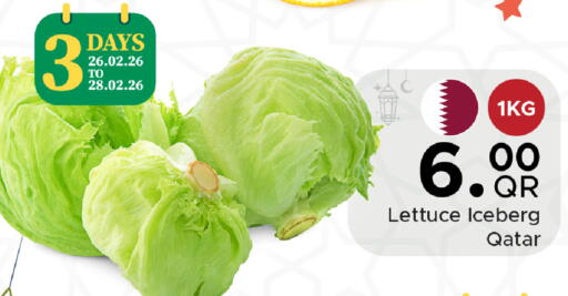 Lettuce from Qatar available at Family Food Centre in Qatar - Doha