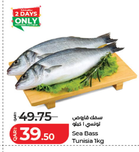 available at لولو هايبرماركت in قطر - أم صلال