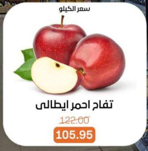 available at بيت الجملة in Egypt - القاهرة