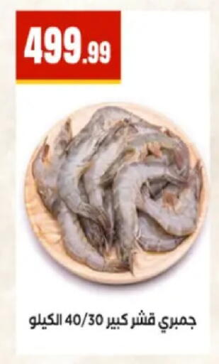 available at المحلاوي ستورز in Egypt - القاهرة