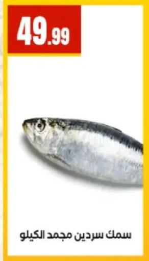 available at المحلاوي ستورز in Egypt - القاهرة