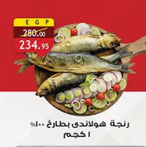 available at الرايه  ماركت in Egypt - القاهرة