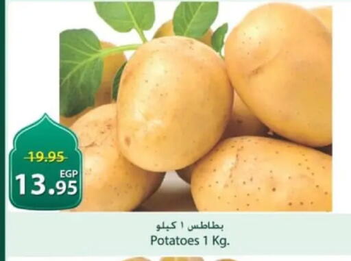 available at سبينس in Egypt - القاهرة