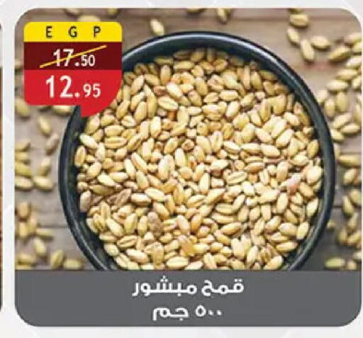 available at Al Rayah Market   in Egypt - Cairo