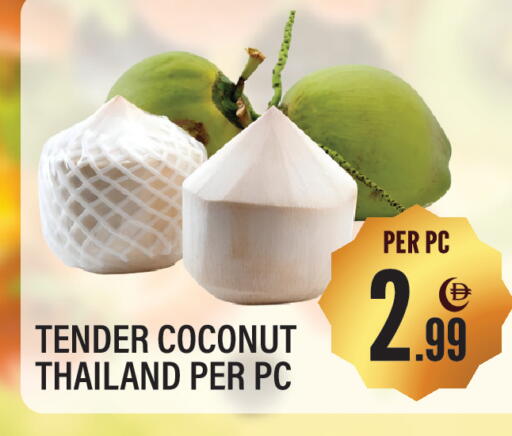 Coconut from Thailand available at Dream Land in UAE - Sharjah / Ajman