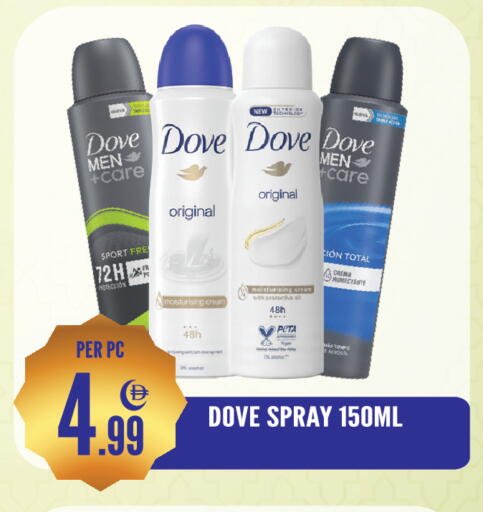 available at دريم لاند in الإمارات العربية المتحدة , الامارات - الشارقة / عجمان