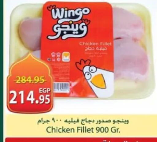 available at سبينس in Egypt - القاهرة