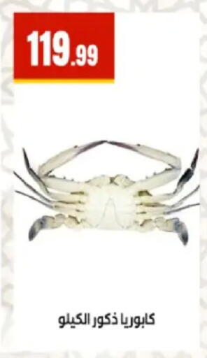 available at المحلاوي ستورز in Egypt - القاهرة