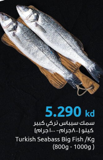 available at The Sultan Center in Kuwait - Kuwait City