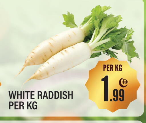 available at Dream Land in UAE - Sharjah / Ajman