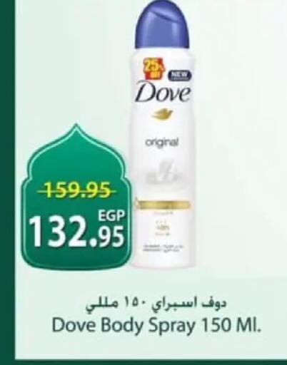 available at سبينس in Egypt - القاهرة