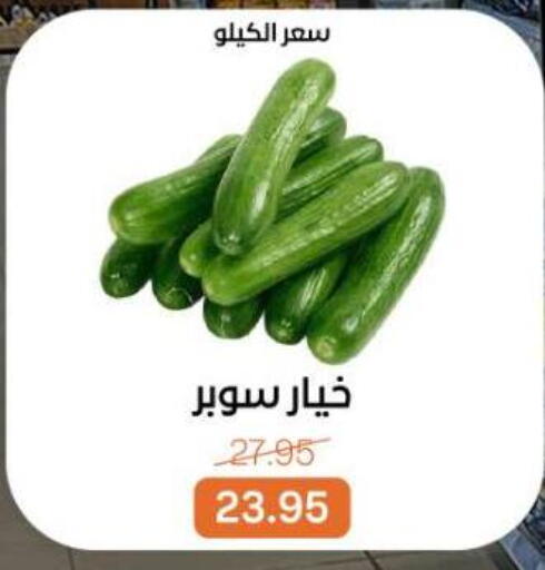 available at Beit El Gomla in Egypt - Cairo