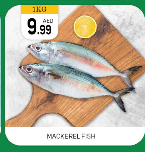 available at TALAL MARKET in UAE - Dubai