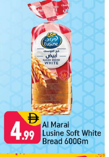 available at شكلان ماركت in الإمارات العربية المتحدة , الامارات - دبي