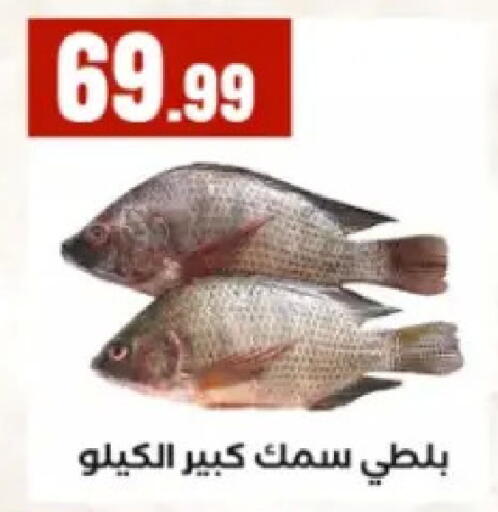 available at المحلاوي ستورز in Egypt - القاهرة