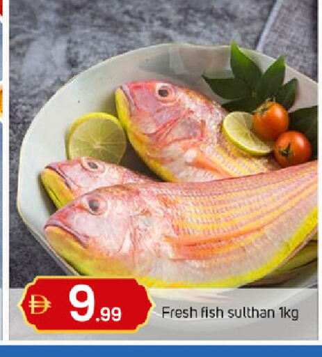 available at TALAL MARKET in UAE - Dubai