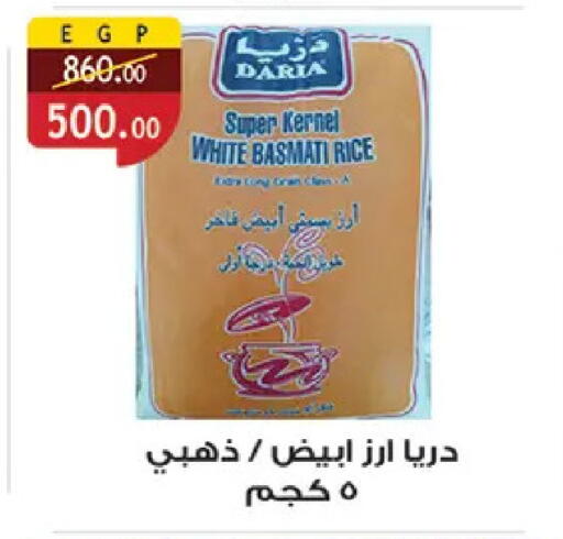available at الرايه  ماركت in Egypt - القاهرة