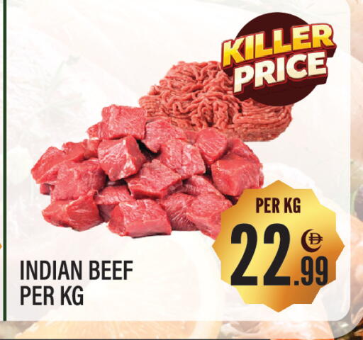 available at Dream Land in UAE - Sharjah / Ajman