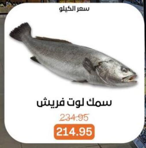 available at بيت الجملة in Egypt - القاهرة