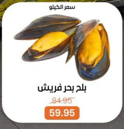 available at Beit El Gomla in Egypt - Cairo