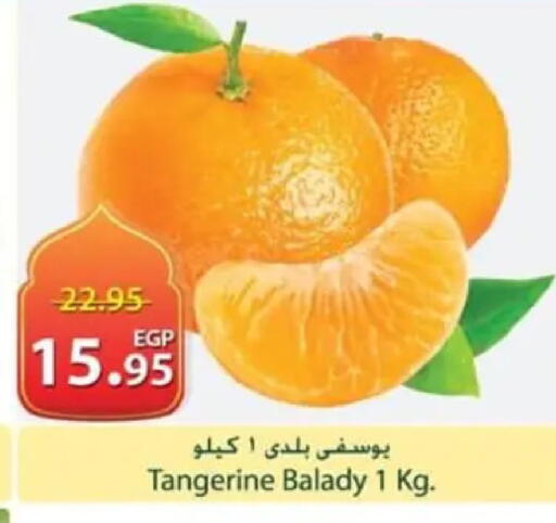 available at سبينس in Egypt - القاهرة