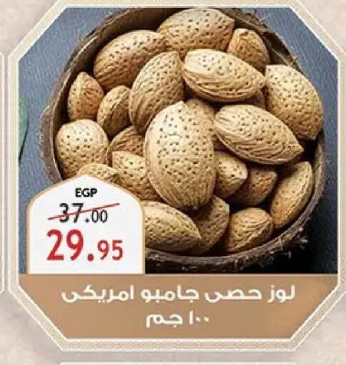 available at الرايه  ماركت in Egypt - القاهرة