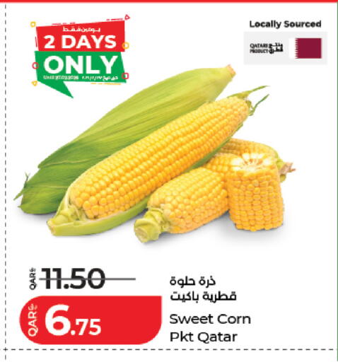 from Qatar available at لولو هايبرماركت in قطر - الخور