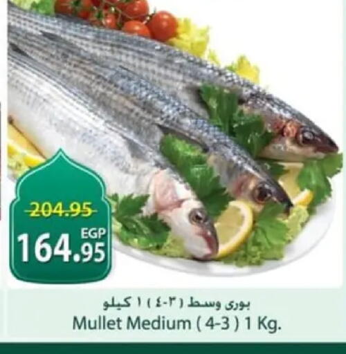 available at سبينس in Egypt - القاهرة