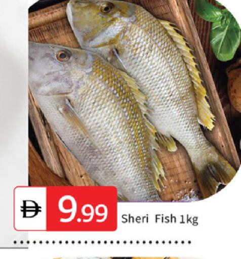 available at سوق طلال in الإمارات العربية المتحدة , الامارات - الشارقة / عجمان