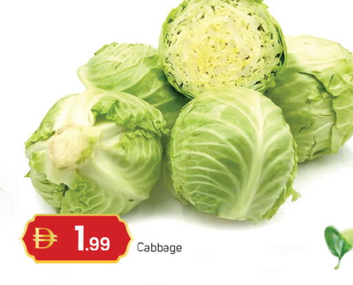 Cabbage available at سوق طلال in الإمارات العربية المتحدة , الامارات - دبي