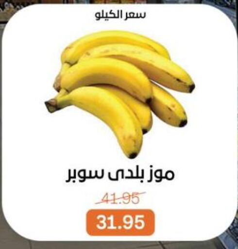 available at Beit El Gomla in Egypt - Cairo